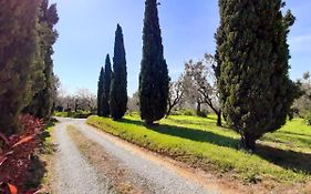 Appartamento Il Palagio